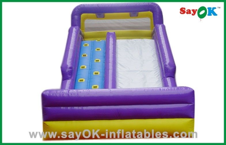 Air Blown Inflatables PVC Inflatable Bouncer Slide for Maximum Fun
